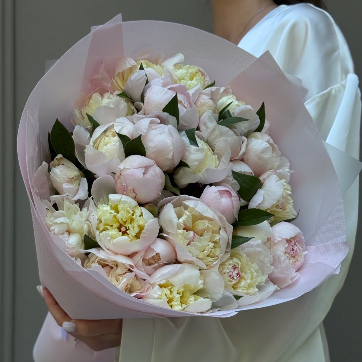 Пион нежно-розовый 25 шт
